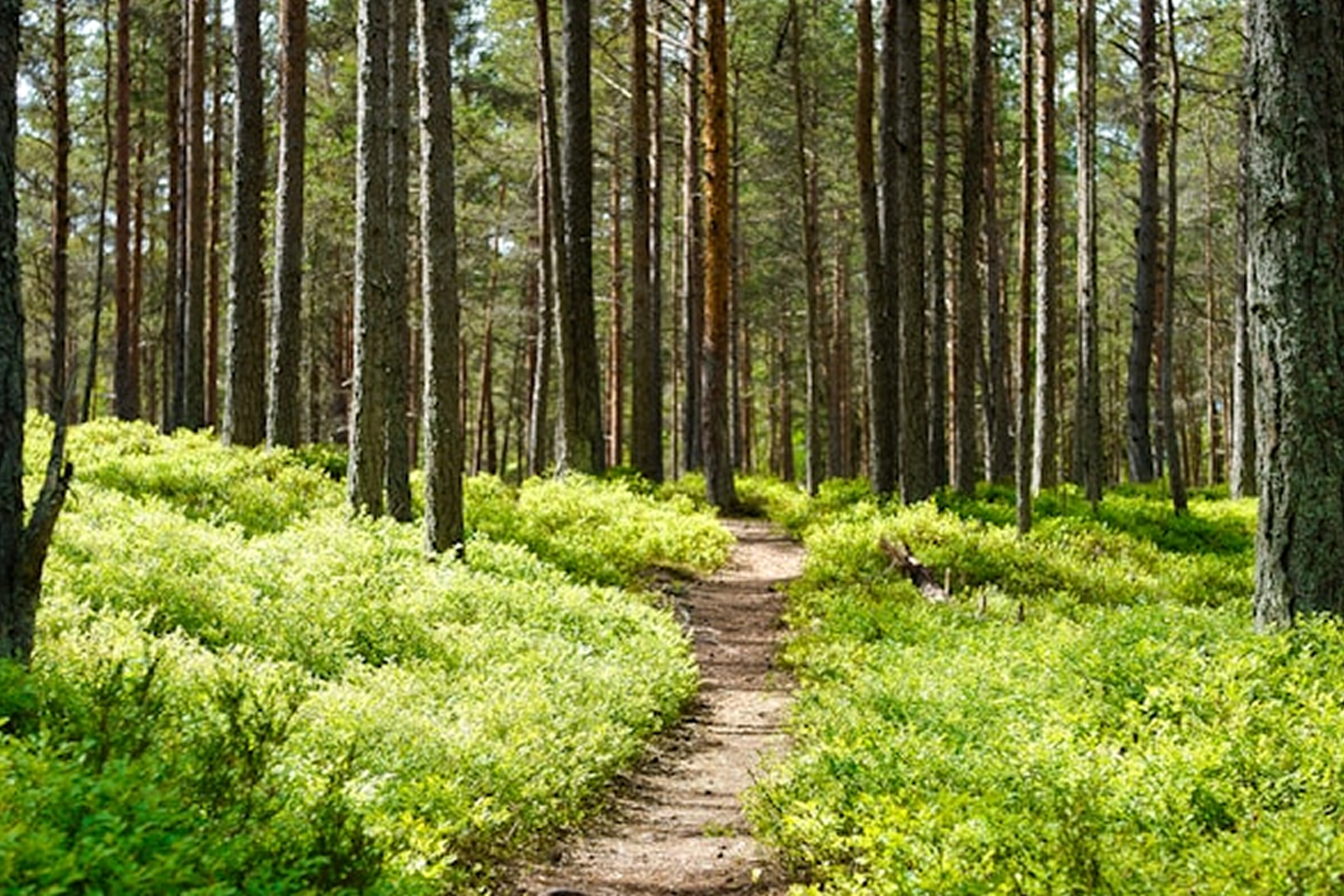 The Best Parks, Trails & Outdoor Escapes in North Fort Worth