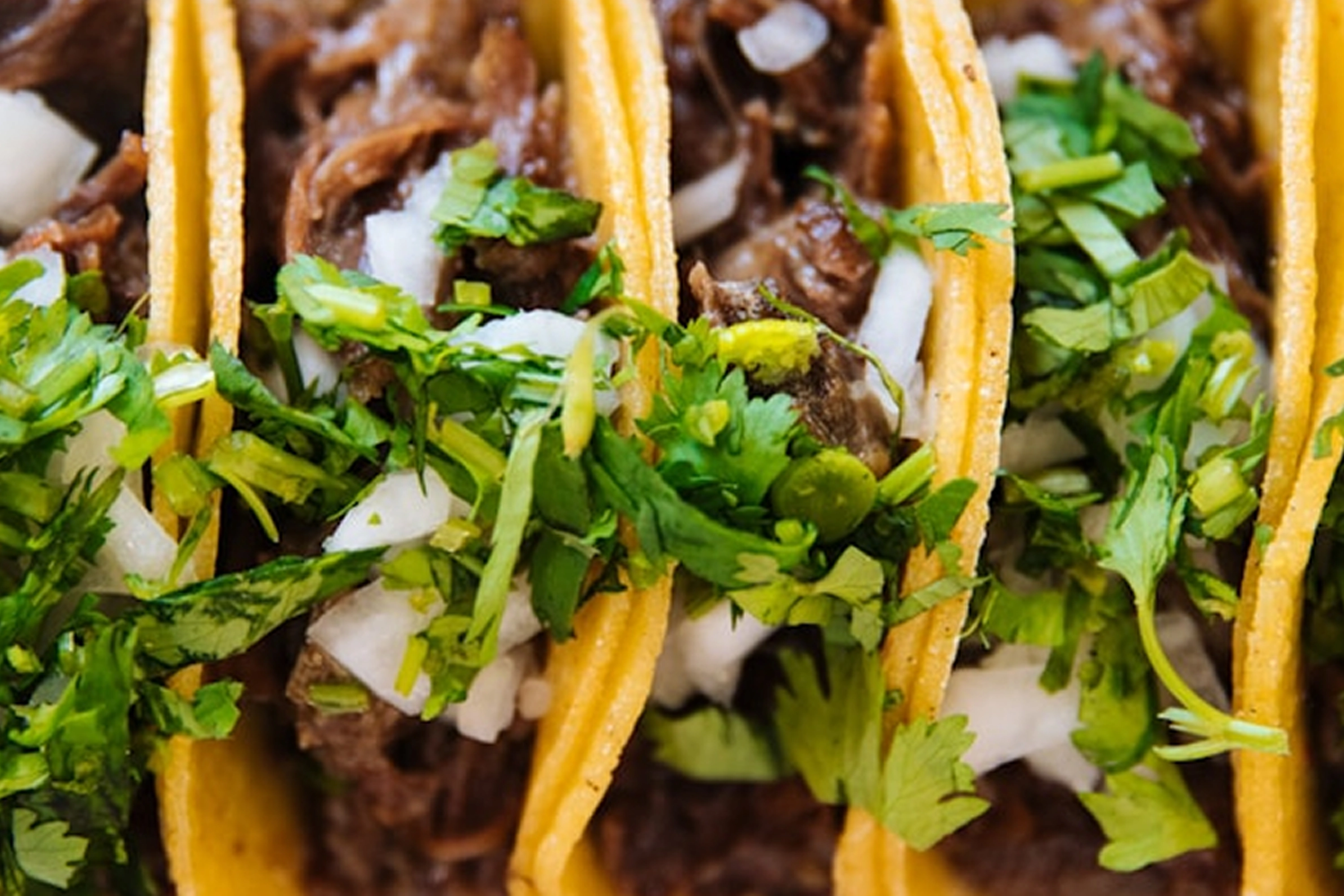 Tacos, Seafood & Casual Favorites Near Western Station